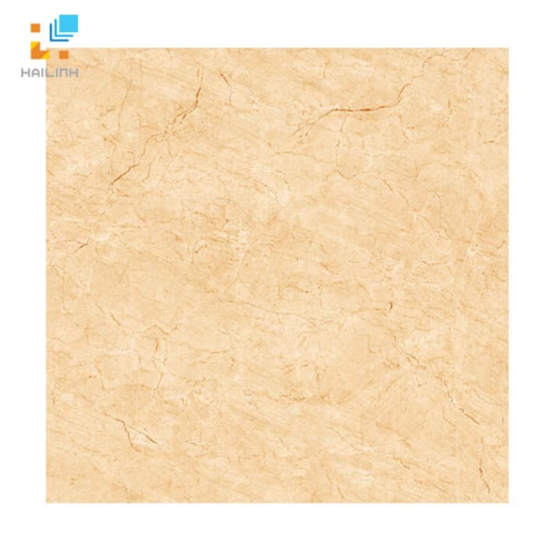 Gạch Viglacera H 503