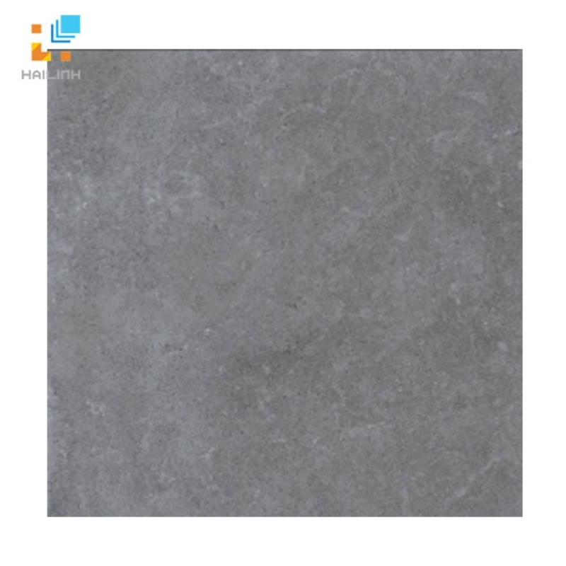 Gạch Viglacera Platinum PT 20-G6605