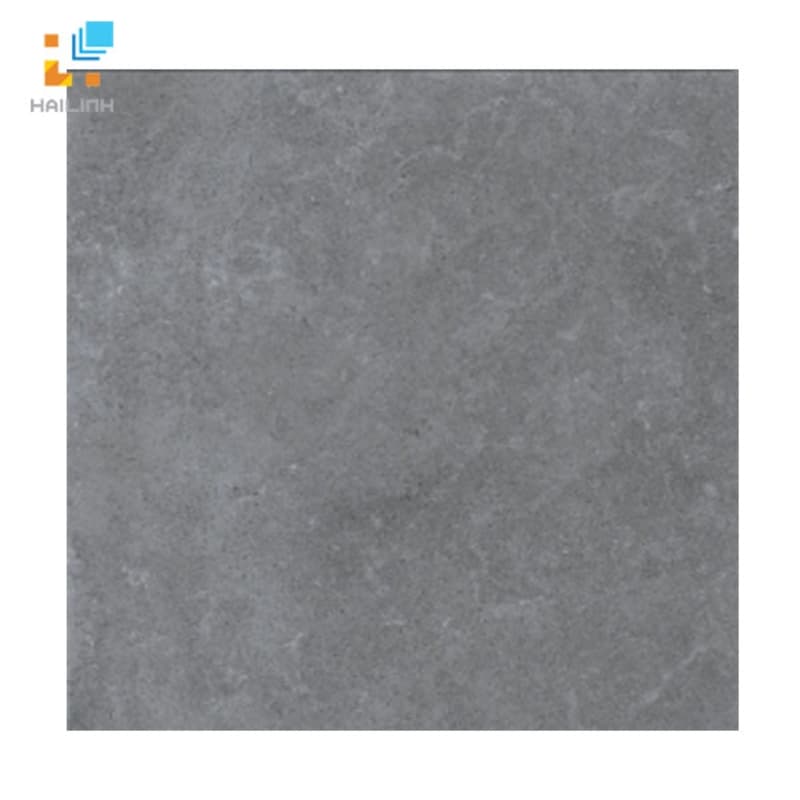 Gạch Viglacera Platinum PT 20-G6605