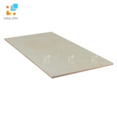 Ảnh Gạch ốp tường Viglacera UB3901 2