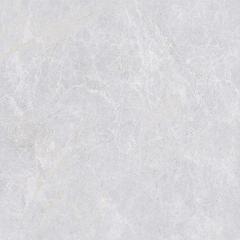 Ảnh Gạch Viglacera NY17-GP8801 1