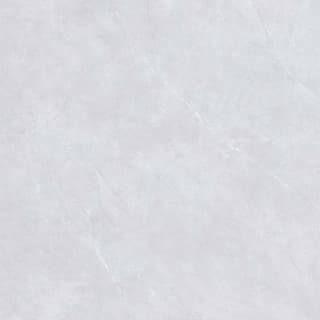 Ảnh Gạch Viglacera NY20-GP8801 1
