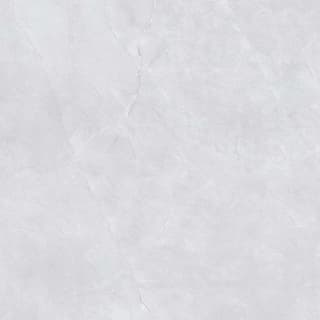 Ảnh Gạch Viglacera NY20-GP8801 3