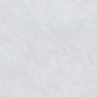 Ảnh Gạch Viglacera NY20-GP8801 4