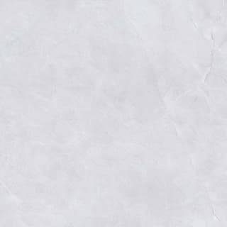 Ảnh Gạch Viglacera NY20-GP8801 5