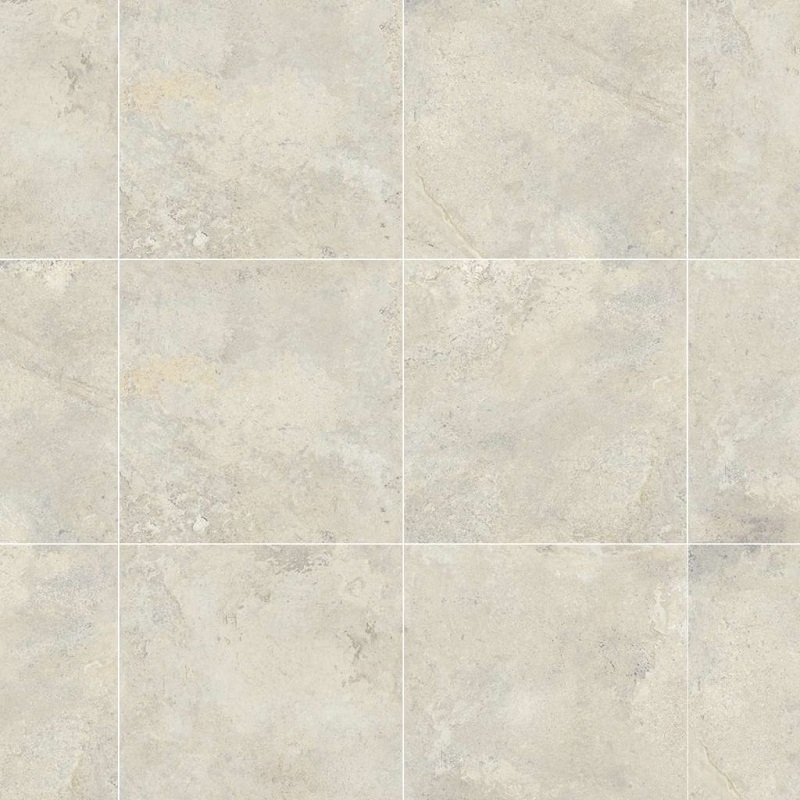 Gạch Đồng Tâm 4040GECKO008