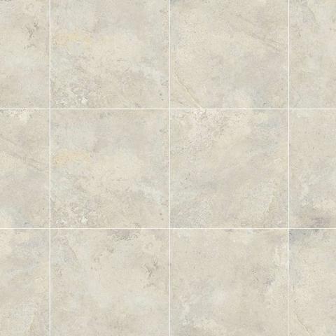 Gạch Đồng Tâm 4040GECKO008