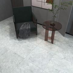 Ảnh Gạch Đồng Tâm 6060TRANGAN004-FP 3