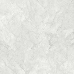 Ảnh Gạch Đồng Tâm 6060TRANGAN004-FP 2