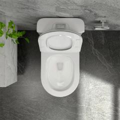 Ảnh Bồn cầu 1 khối Sanfi S302 4