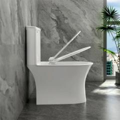 Ảnh Bồn cầu 1 khối Sanfi S302 3