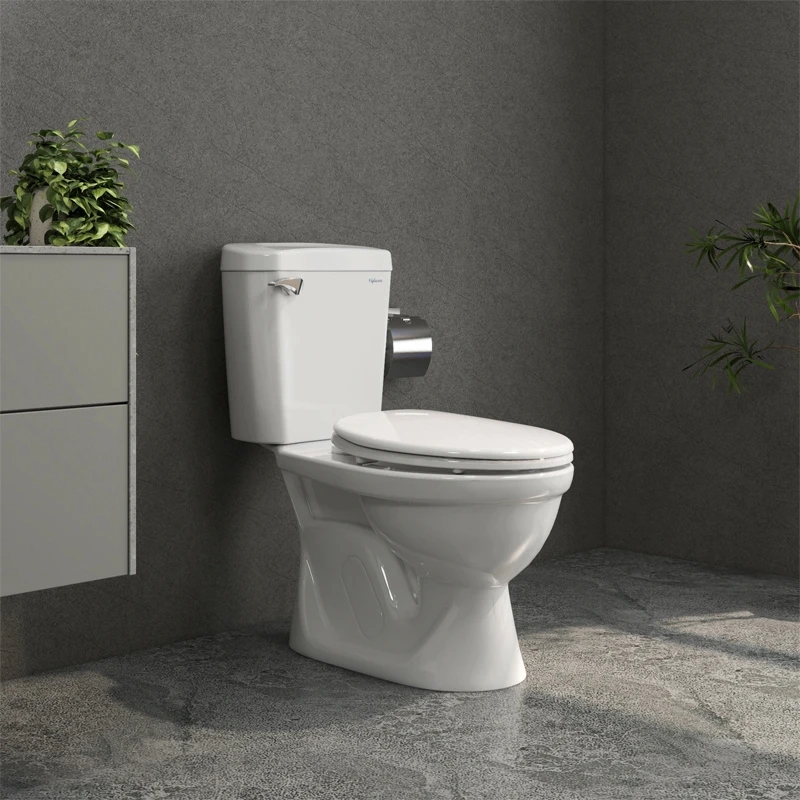 Bồn cầu 2 khối Viglacera VI77