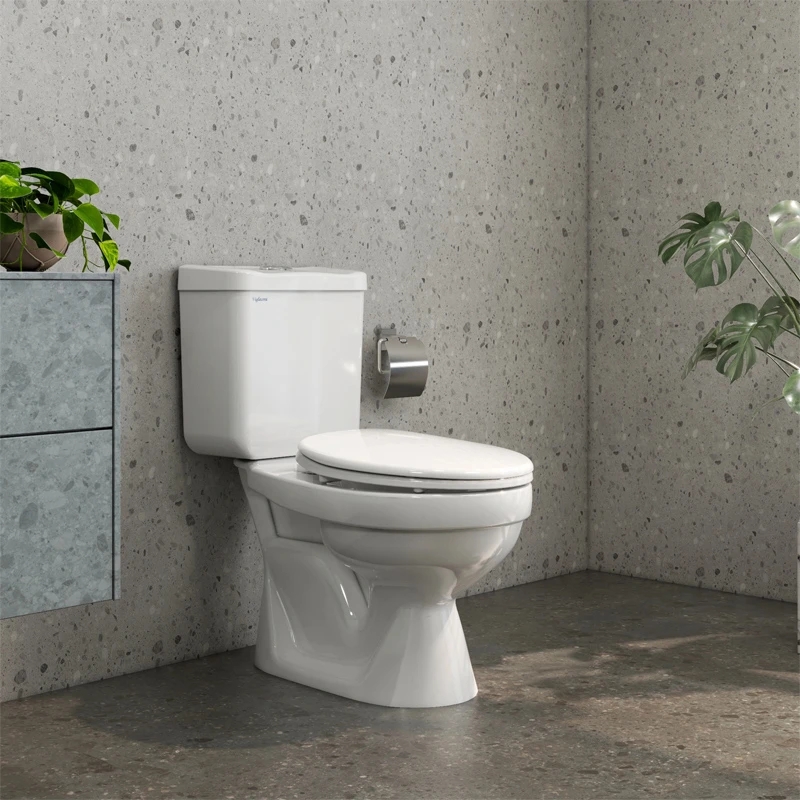 Bồn cầu 2 khối Viglacera VT18M