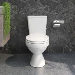 Ảnh Bồn cầu 2 khối Viglacera VT34 2