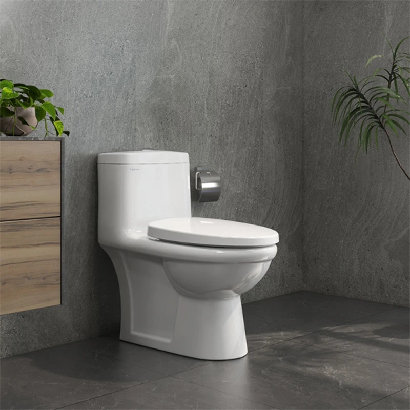 Bồn cầu 1 khối Viglacera V825