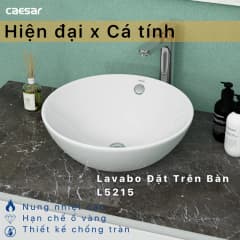 Ảnh Chậu rửa đặt bàn Caesar L5215 6