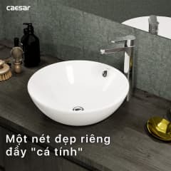 Ảnh Chậu rửa đặt bàn Caesar L5215 4