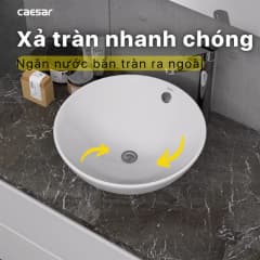 Ảnh Chậu rửa đặt bàn Caesar L5215 3