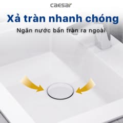 Ảnh Chậu rửa đặt bàn Caesar LF5017 2