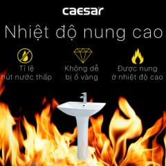 Ảnh Chậu rửa treo tường Caesar L2365+P2445 7