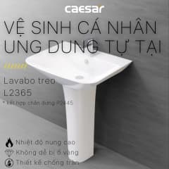 Ảnh Chậu rửa treo tường Caesar L2365+P2445 6