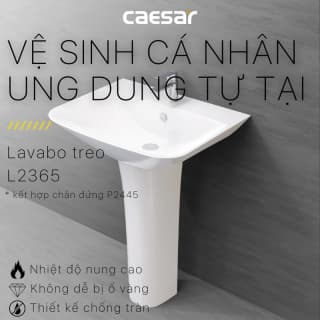 Ảnh Chậu rửa treo tường Caesar L2365+P2445 6