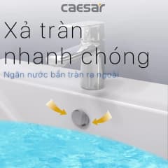 Ảnh Chậu rửa treo tường Caesar L2365+P2445 4