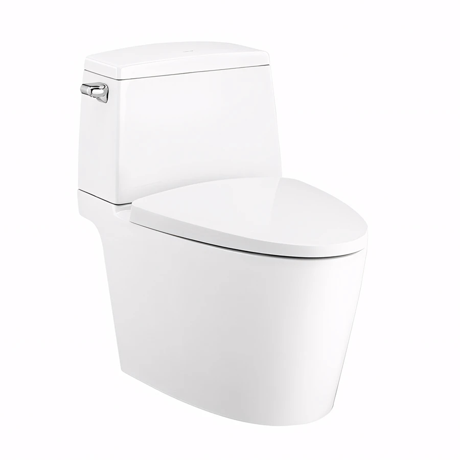 Bồn cầu 2 khối Cotto C13537