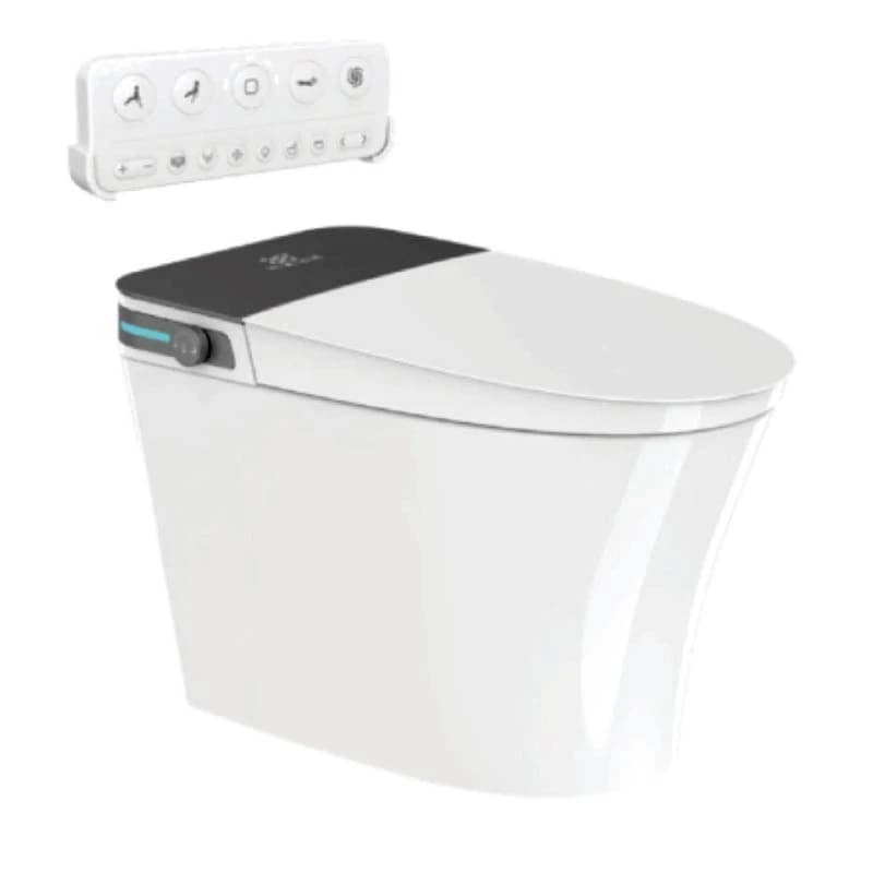 Bồn cầu thông minh Densta DS TA – 767 DF