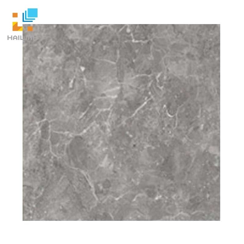 Gạch Đồng Tâm 3030ANDES003