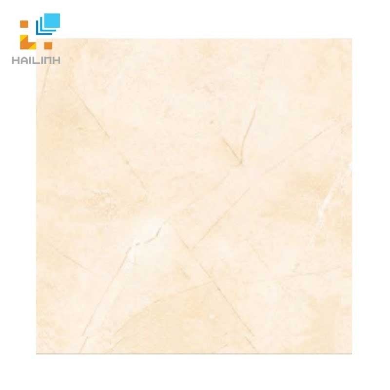 Gạch Đồng Tâm 3030ROME002