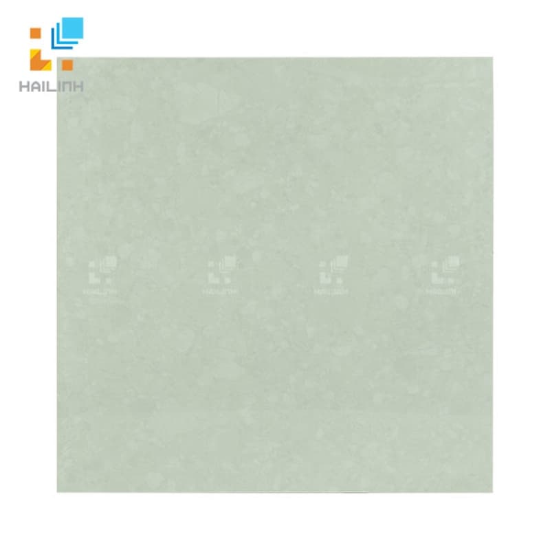Gạch Đồng Tâm 6060TRUONGSON004-FF