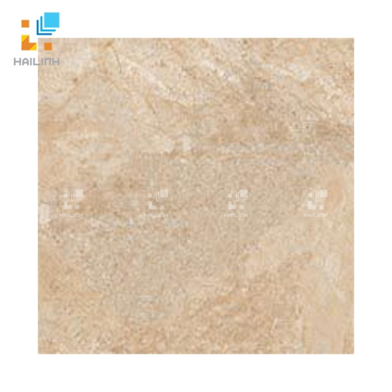 Gạch đồng tâm 6060TRUONGSONN006