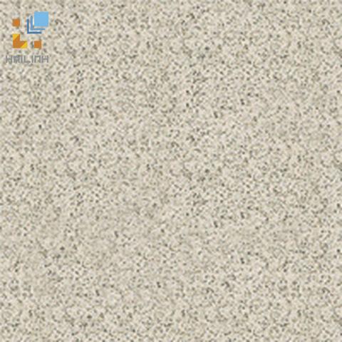 Gạch Đồng Tâm 4GA01