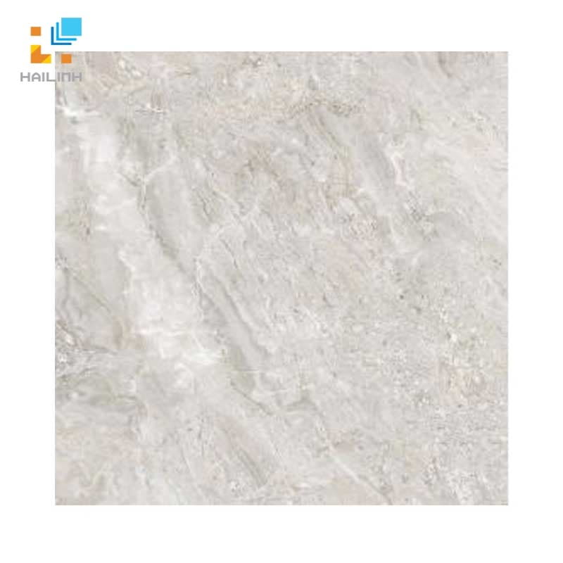 Gạch Đồng Tâm 6060TRUONGSON003-FP