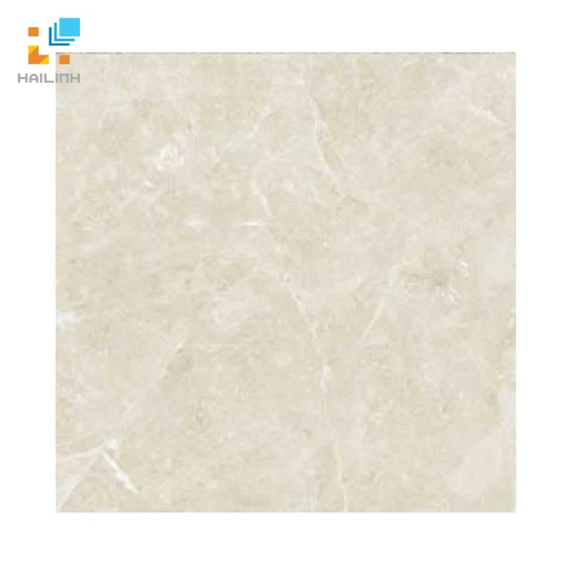 Gạch Đồng Tâm 6060TRUONGSON005-FP