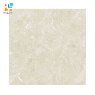 Ảnh Gạch Đồng Tâm 6060TRUONGSON005-FP 1