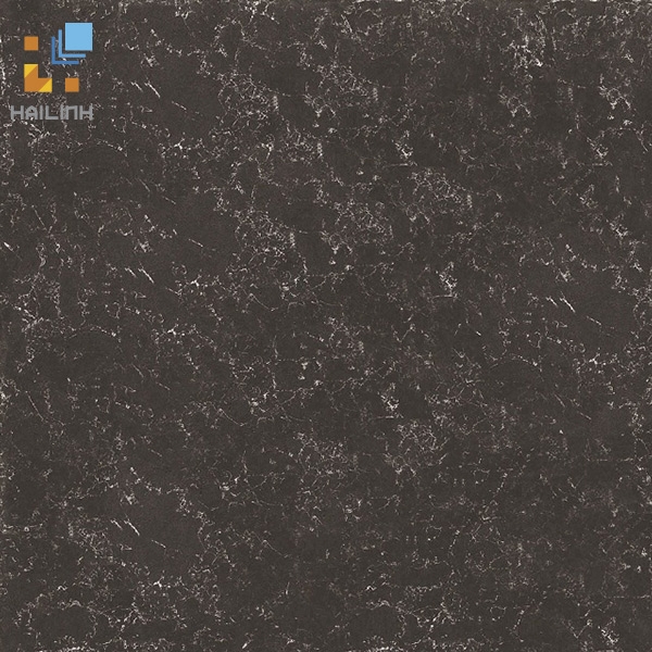 Gạch Đồng Tâm 8080PLATINUM006