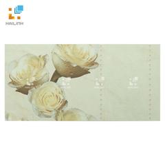 Ảnh Gạch Đồng Tâm D3060ROXY004 1