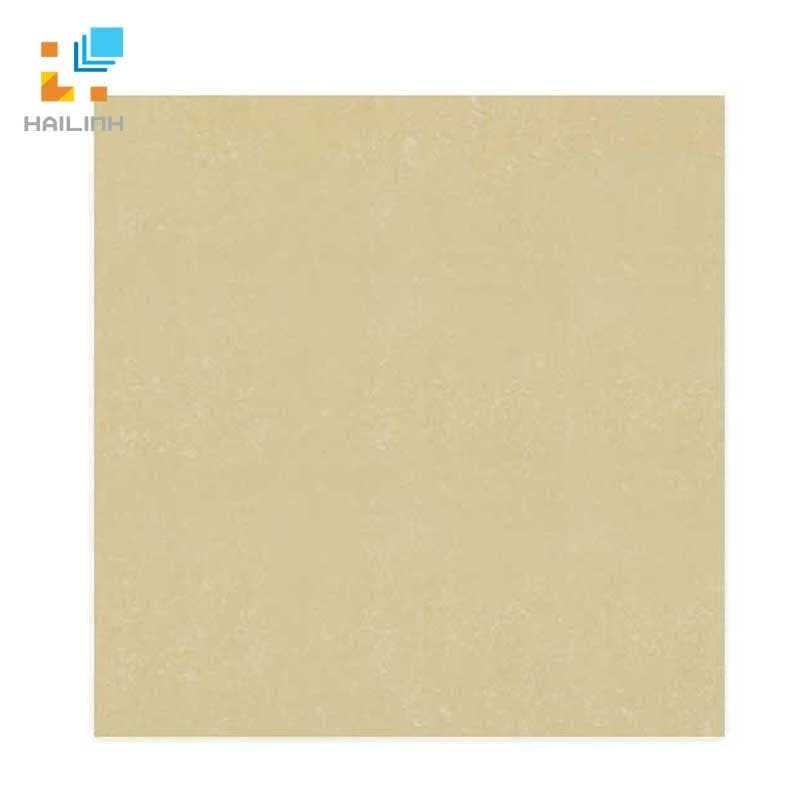 Gạch Đồng Tâm 6060DB006NANO