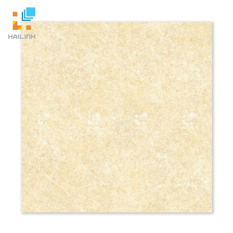 Gạch Đồng Tâm 6060BINHTHUAN002