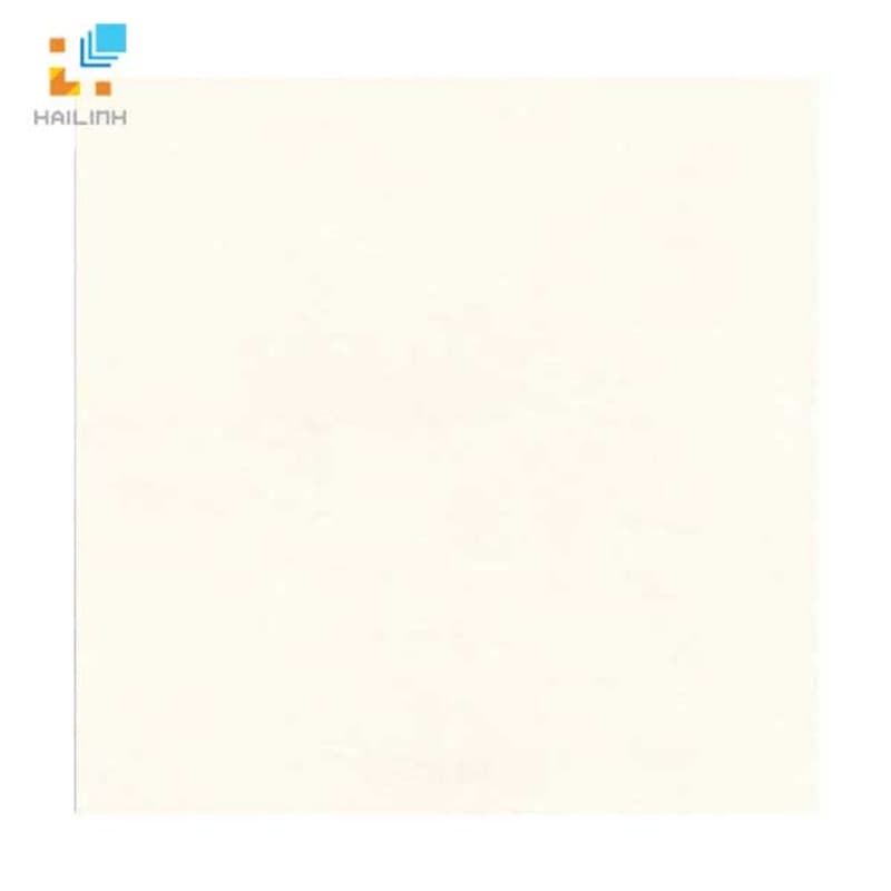 Gạch Đồng Tâm 6060DA005-FP