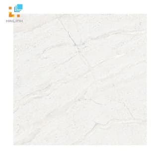 Ảnh Gạch Đồng Tâm 6060DA008-FP 1