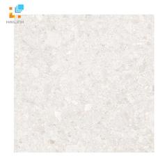 Ảnh Gạch Đồng Tâm 6060DA010-FP 1