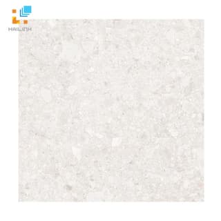 Ảnh Gạch Đồng Tâm 6060DA010-FP 1