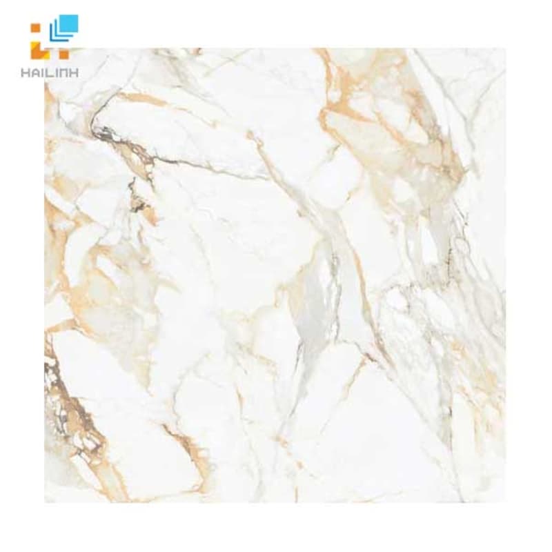 Gạch Đồng Tâm 6060MOMENT002