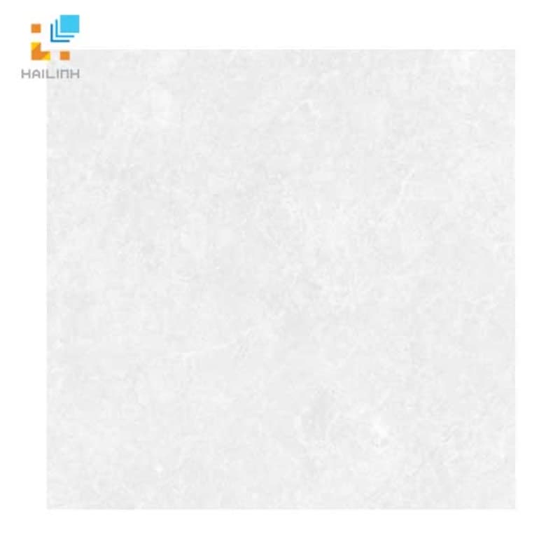 Gạch Đồng Tâm 6060MOMENT003