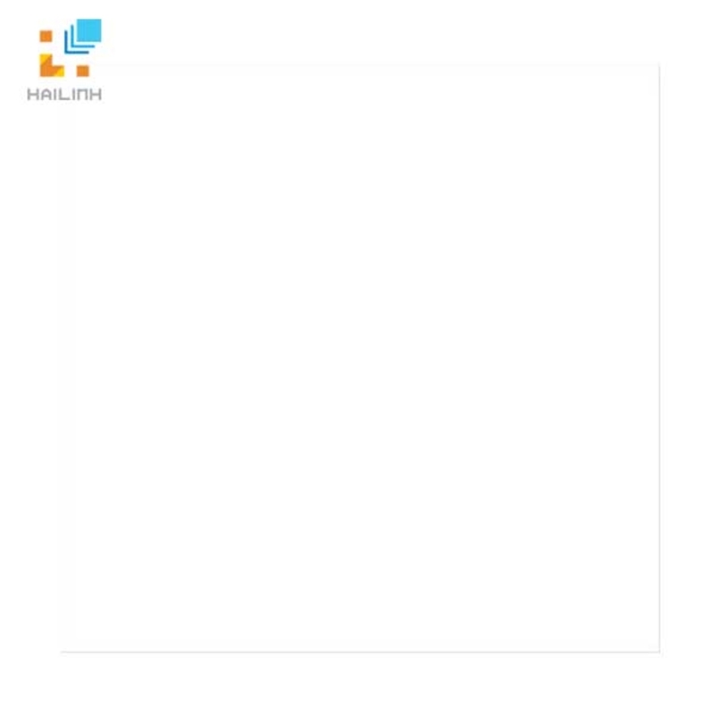 Gạch Đồng Tâm 6060SNOW001-FP