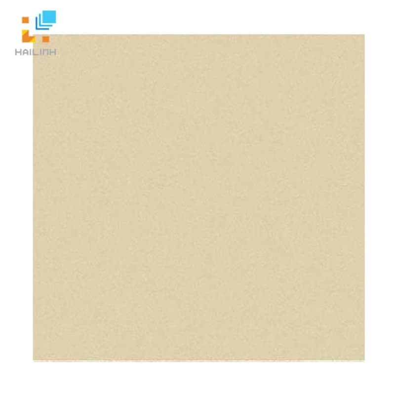 Gạch Đồng Tâm 6060VICTORIA004