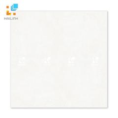 Ảnh Gạch Đồng Tâm 6060VICTORIA005 1